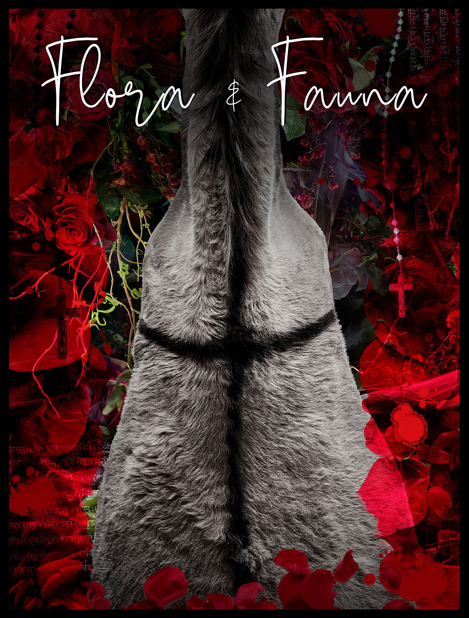 VIEW THE FLORA & FAUNA COLLECTION